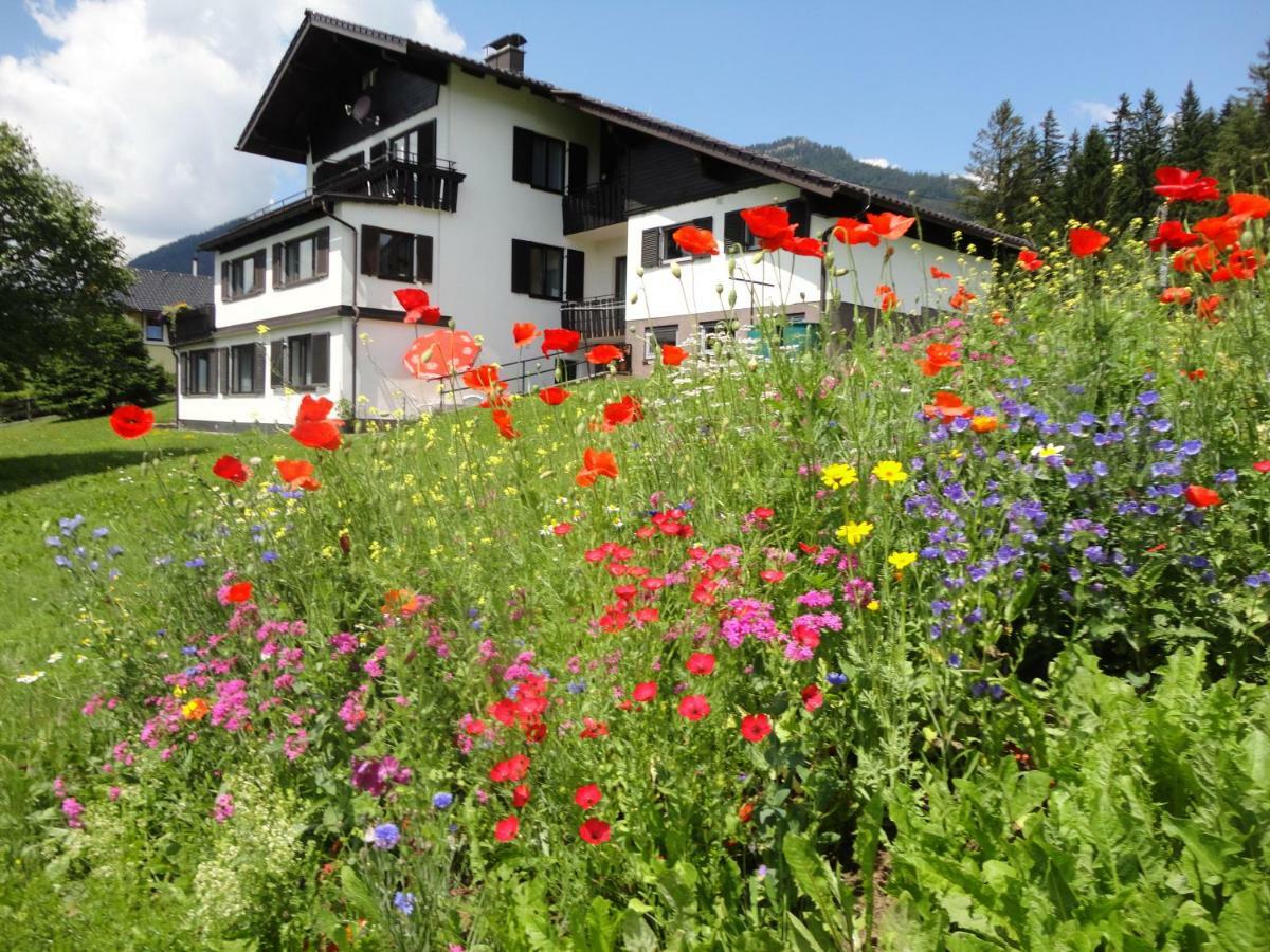 Ferienwohnung Fuchs Bad Mitterndorf Exteriör bild